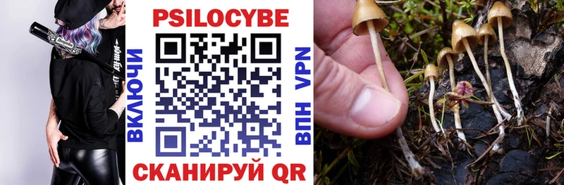 Галлюциногенные грибы Cubensis  где купить наркоту  Свободный 